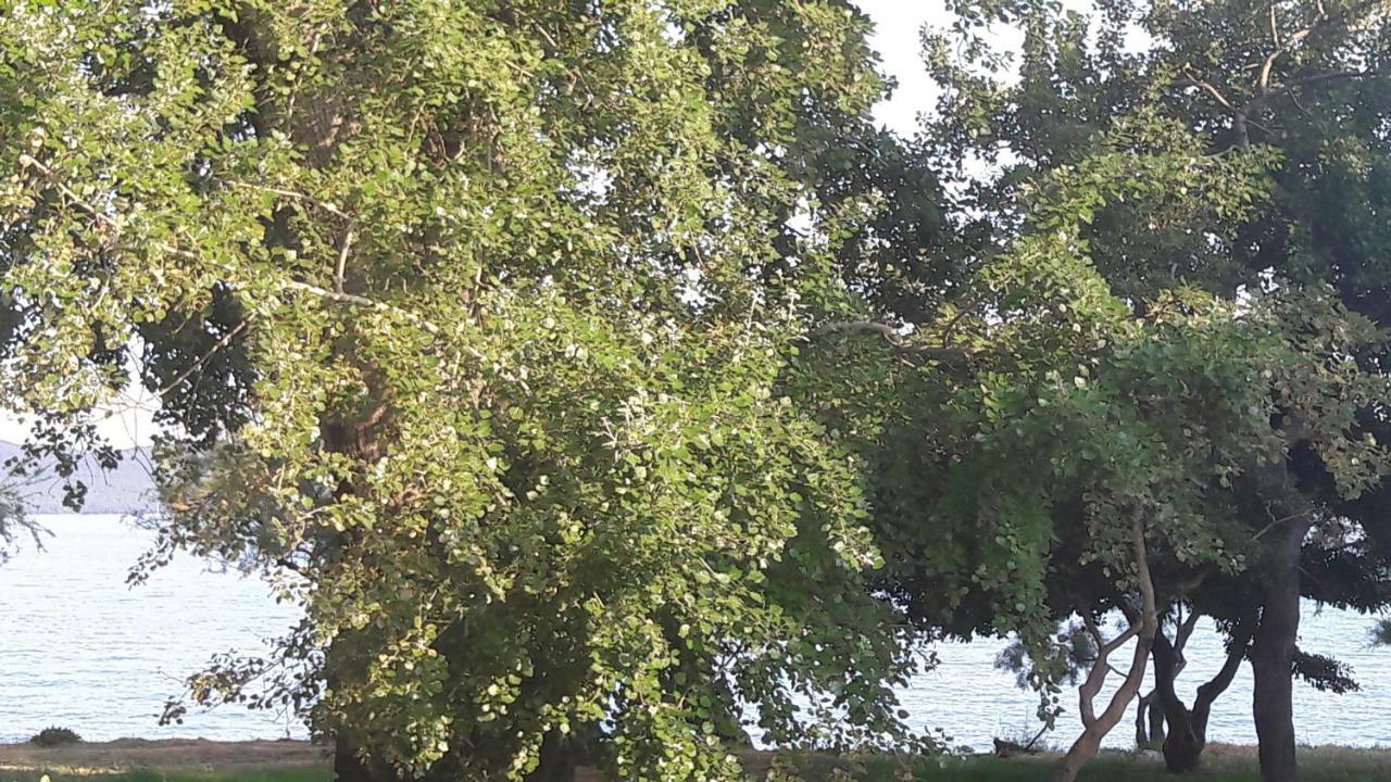 Apartmani Vitturi Kastela Bagian luar foto